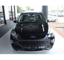 Ford Escape SEL