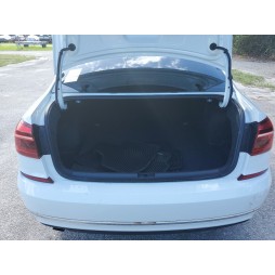 Volkswagen Passat S
