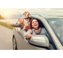 Как купить авто из Америки, последовательность действий