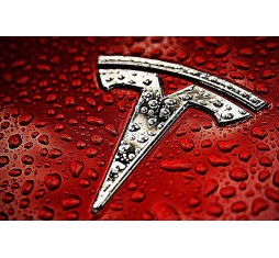 Самые популярные Tesla из США