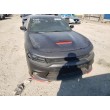 2019 DODGE CHARGER R/T