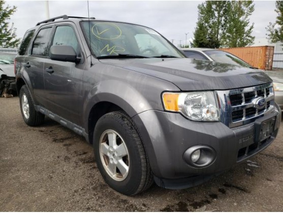 2011 FORD ESCAPE XLT