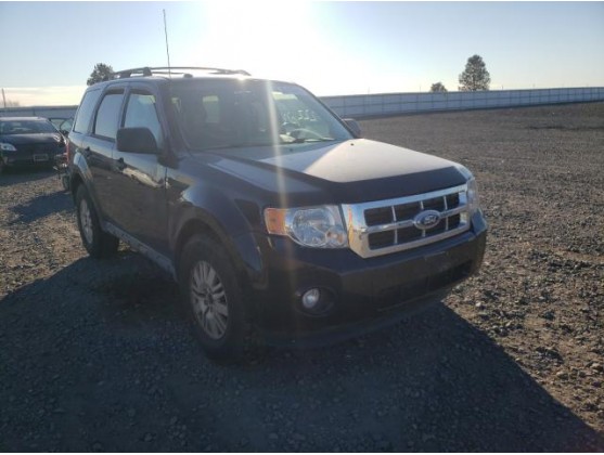 2011 FORD ESCAPE XLT