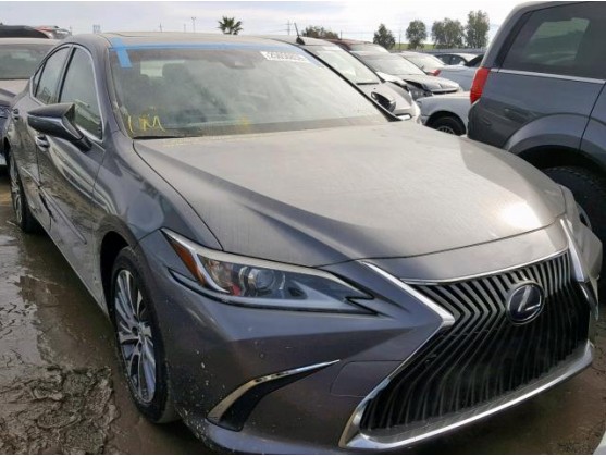 2019 LEXUS ES 300H