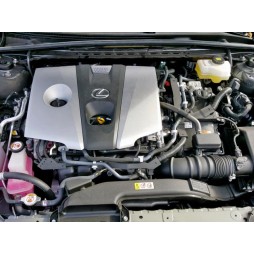 2019 LEXUS ES 300H