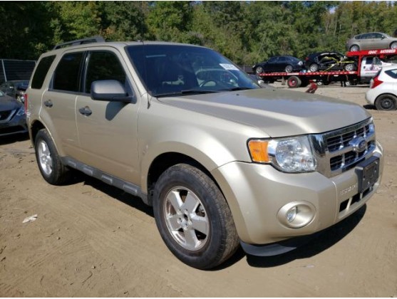 2011 FORD ESCAPE XLT