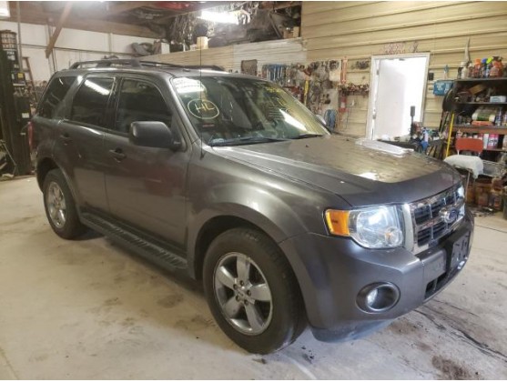 2011 FORD ESCAPE XLT