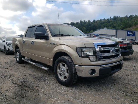 2013 FORD F150 SUPERCREW