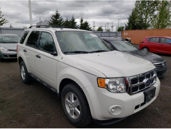 2011 FORD ESCAPE XLT