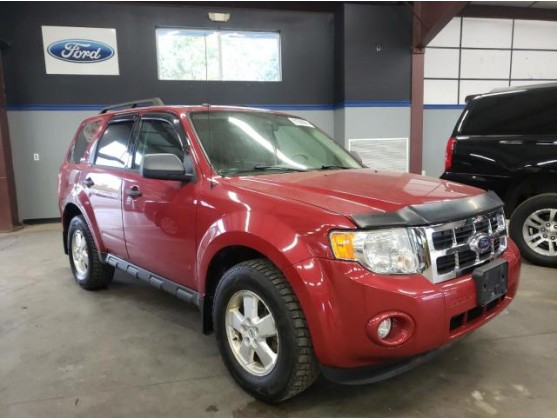 2011 FORD ESCAPE XLT