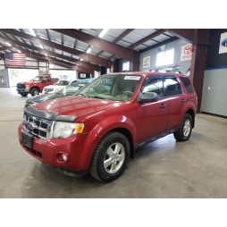 2011 FORD ESCAPE XLT