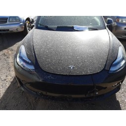 2019 TESL MODEL 3
