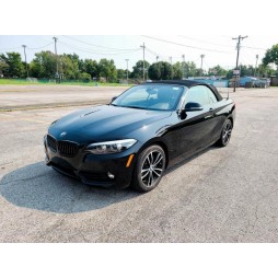 2020 BMW 230XI