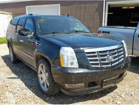 2010 CADILLAC ESCALADE ESV PREMIUM