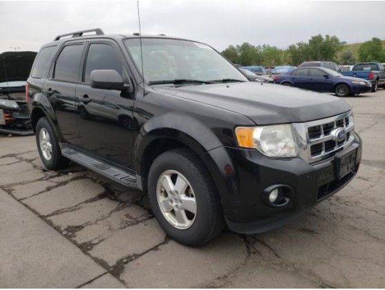 2011 FORD ESCAPE XLT