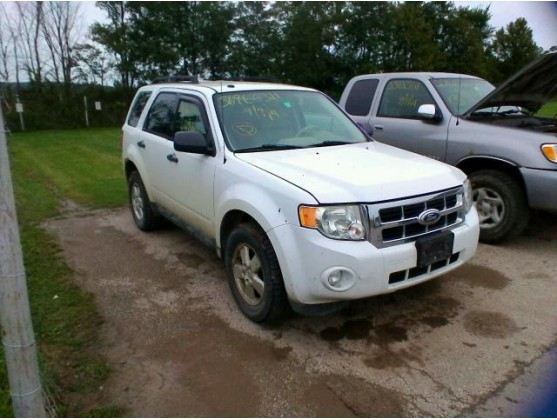 2012 FORD ESCAPE XLT