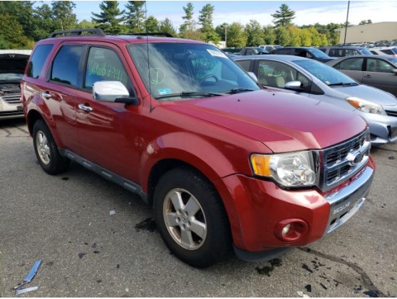 2011 FORD ESCAPE XLT