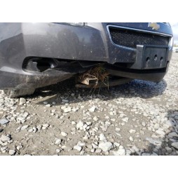 2012 CHEVROLET MALIBU LS
