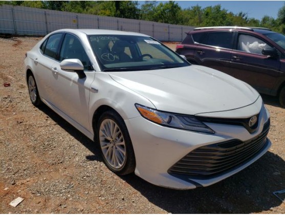 2019 TOYOTA CAMRY HYBRID