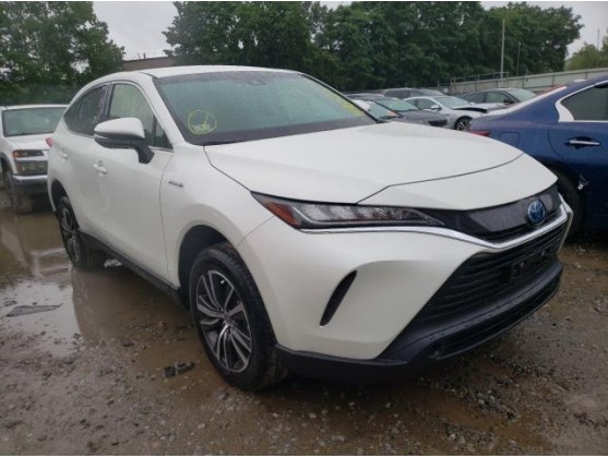 2021 TOYOTA VENZA LE