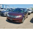 2013 HONDA ODYSSEY EXL