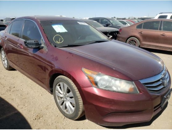 2011 HONDA ACCORD EXL