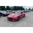 2017 MERCEDES-BENZ AMG GT
