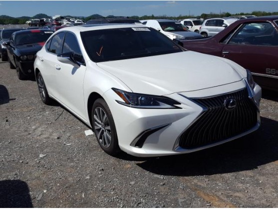 2019 LEXUS ES 350