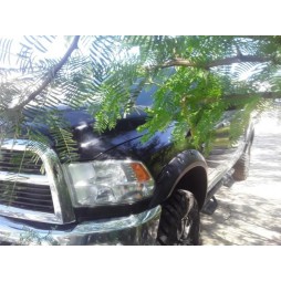 2012 DODGE RAM 3500 LARAMIE