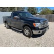 2013 FORD F150