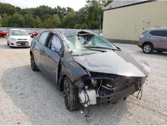2019 TOYOTA COROLLA L